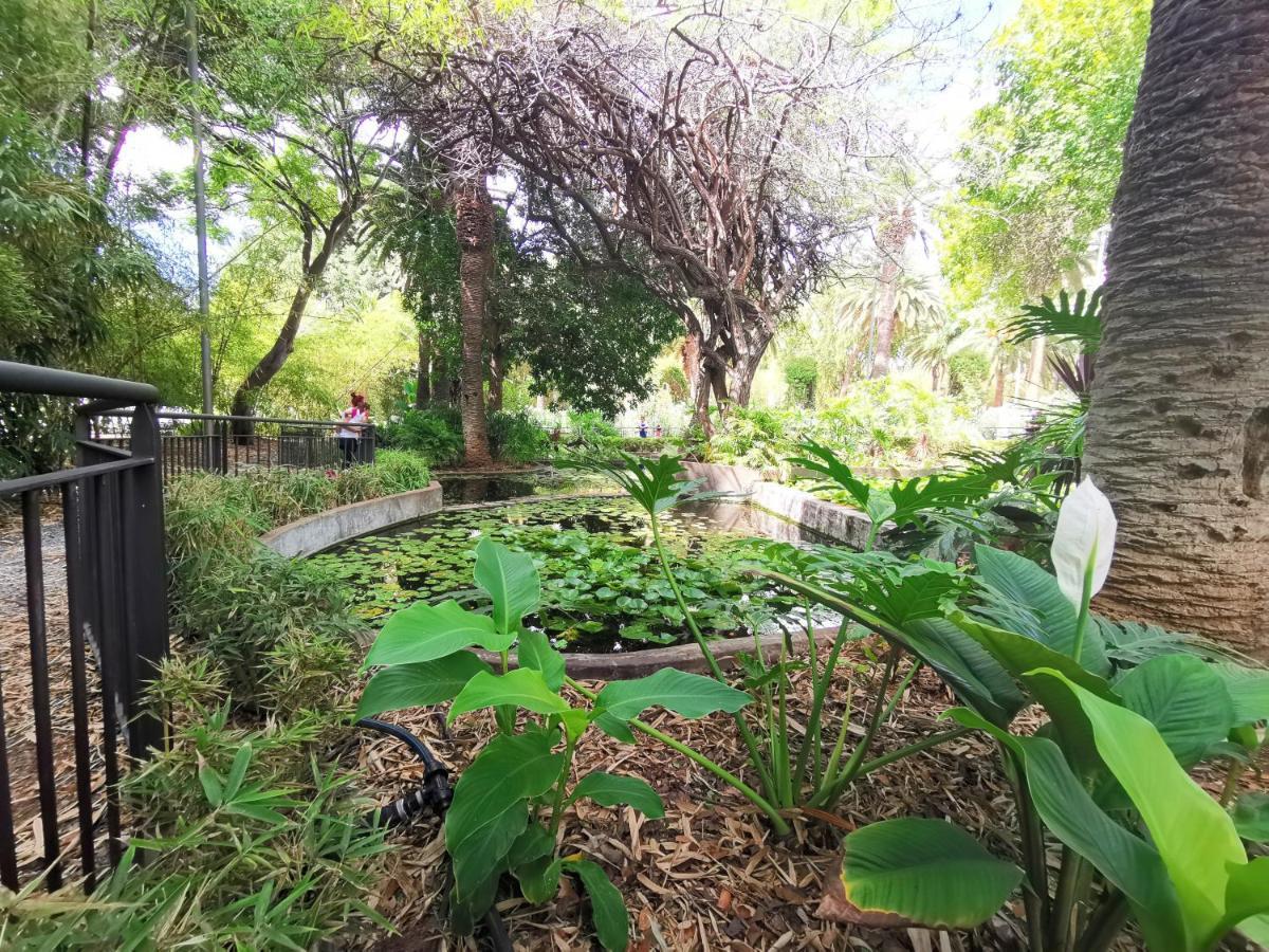 Home2Book Bright Center Apartment Santa Cruz Екстериор снимка